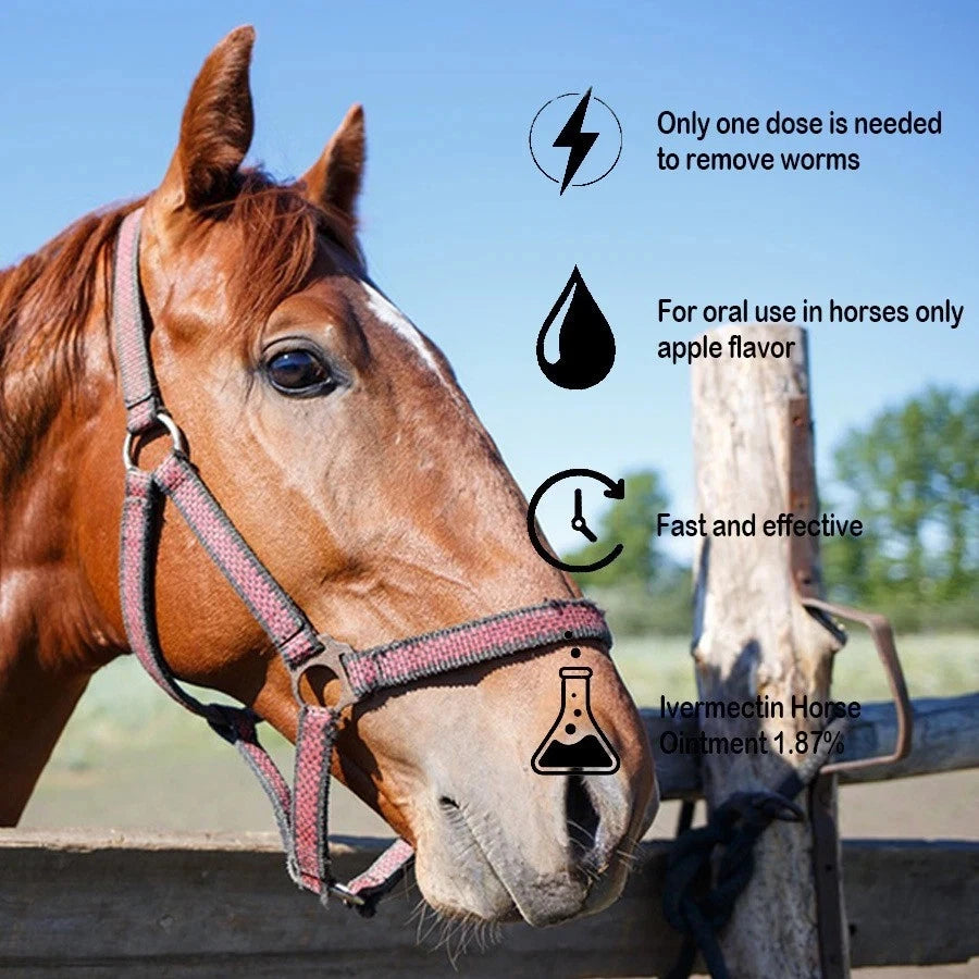 Horse wearing a bridle with product information text on a natural background